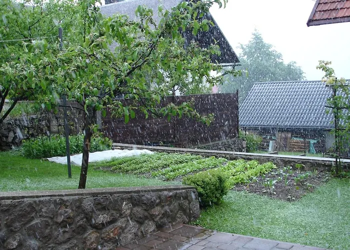 Ksenija Apartament Delnice