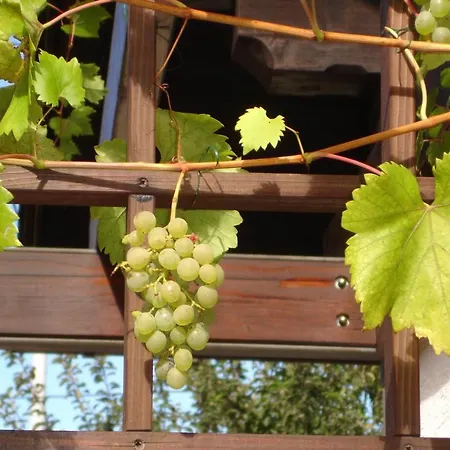 Ksenija Apartament *