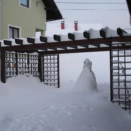 Apartament Ksenija Delnice