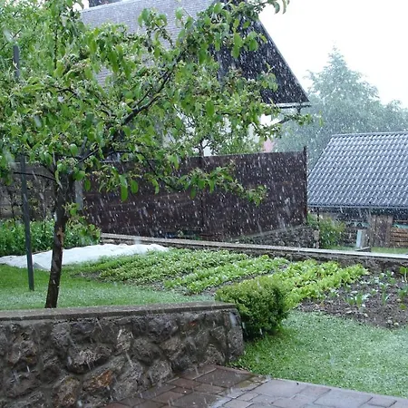 Ksenija Apartament Delnice