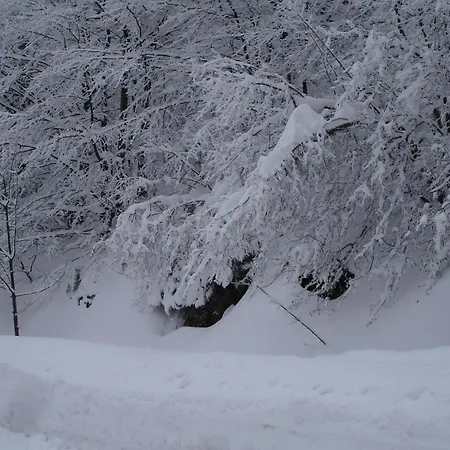 Ksenija Apartament Delnice