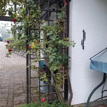 Apartment Ksenija Delnice