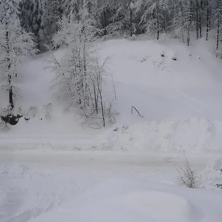 Ksenija Apartament Delnice