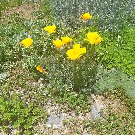 Ksenija Apartament Delnice