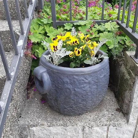 Apartment Ksenija *