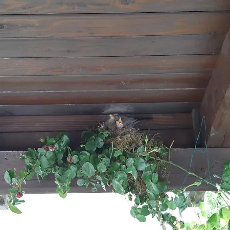 Ksenija Apartament Delnice